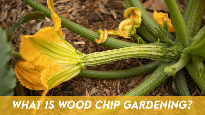 What Is Wood Chip Gardening?