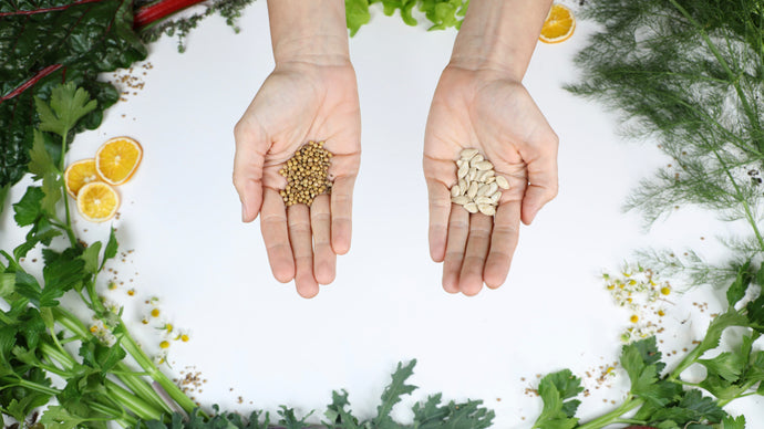 10 Best Seed Companies in 2021