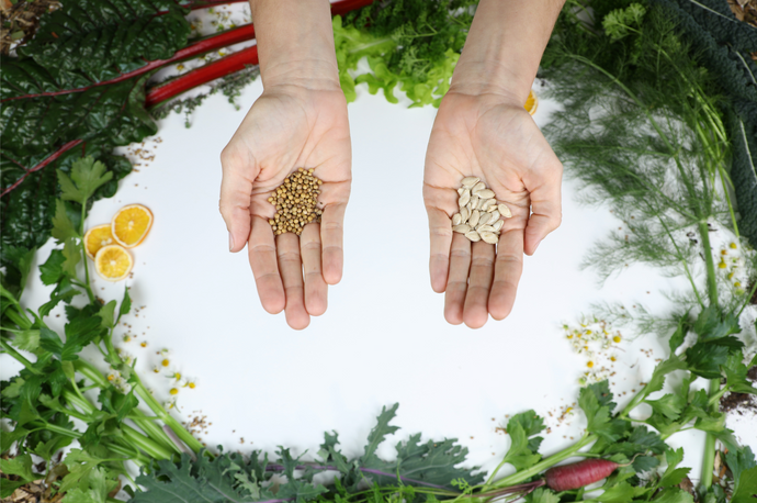 10 Best Seed Companies in 2022