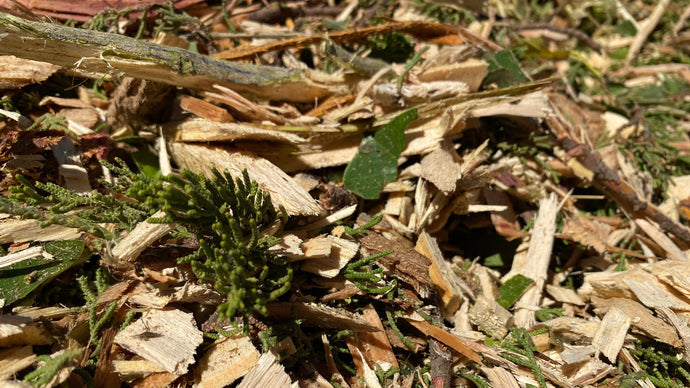 Free Wood Chip Delivery Near Me