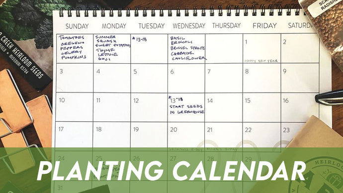 Planting Calendar: When To Plant Seeds In Your Garden