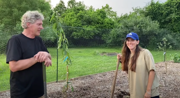 Planting AMAZING Fruit Trees in Your Back to Eden Garden