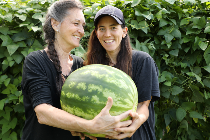 How to Start Growing a Back to Eden Garden Anytime of Year!