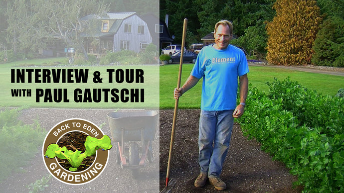 Back to Eden Gardening Interview and Tour with Paul Gautschi