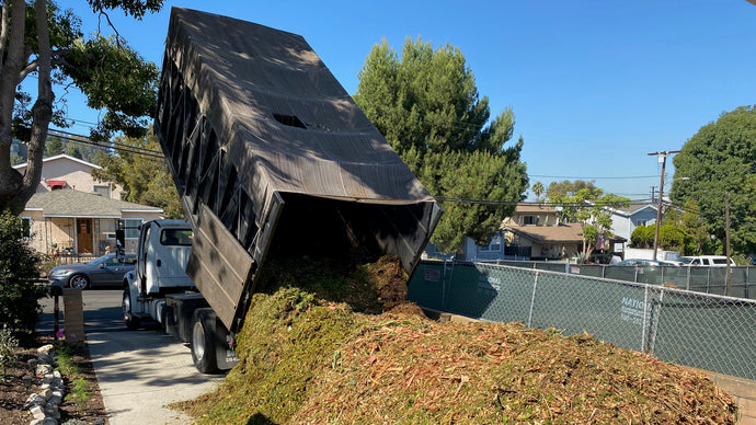 Best Mulch for a Garden? Wood Chips!