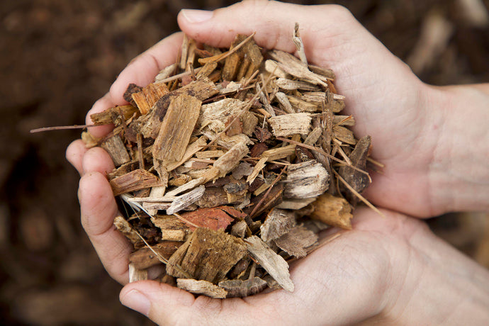 Wood Chip Gardening Myths & Facts! Expert Reveals Research