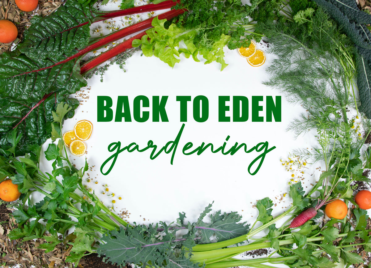 Back To Eden Gardening Regenerative Organic No Till Garden