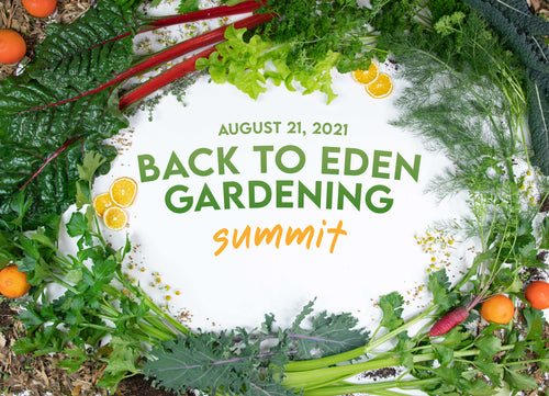 Back to Eden Gardening Summit